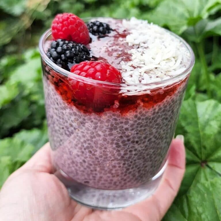 Raspberry Chia Seed Pudding cup