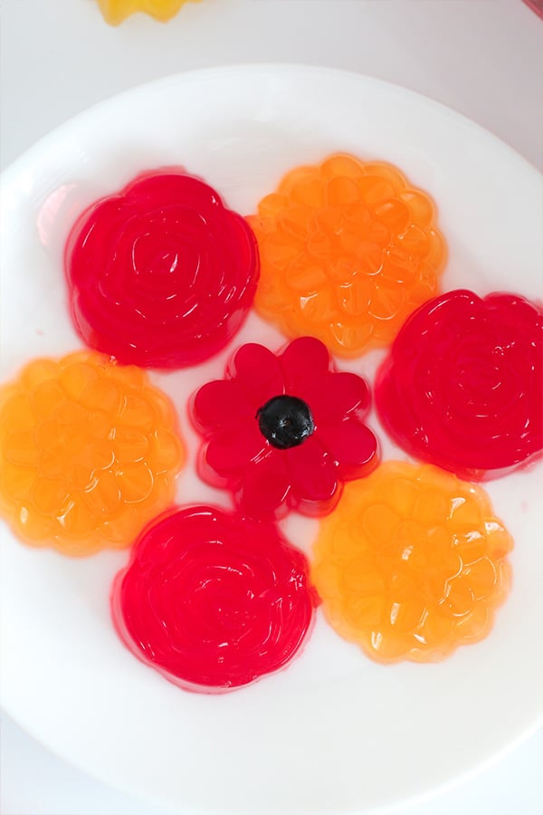 Spring Flower Jels-Peach, Strawberry, Raspberry, Orange Jel top view close up