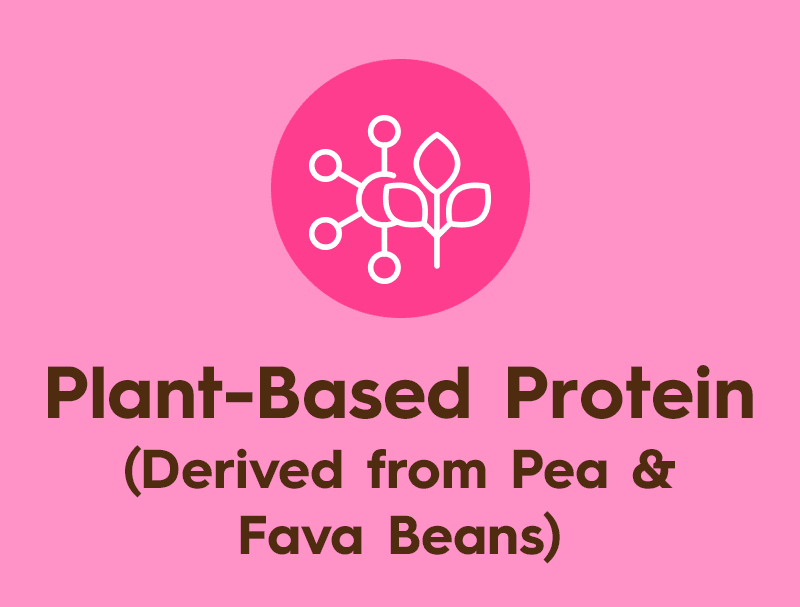 Plant Based Protein Derived from Pea and Fava Beans